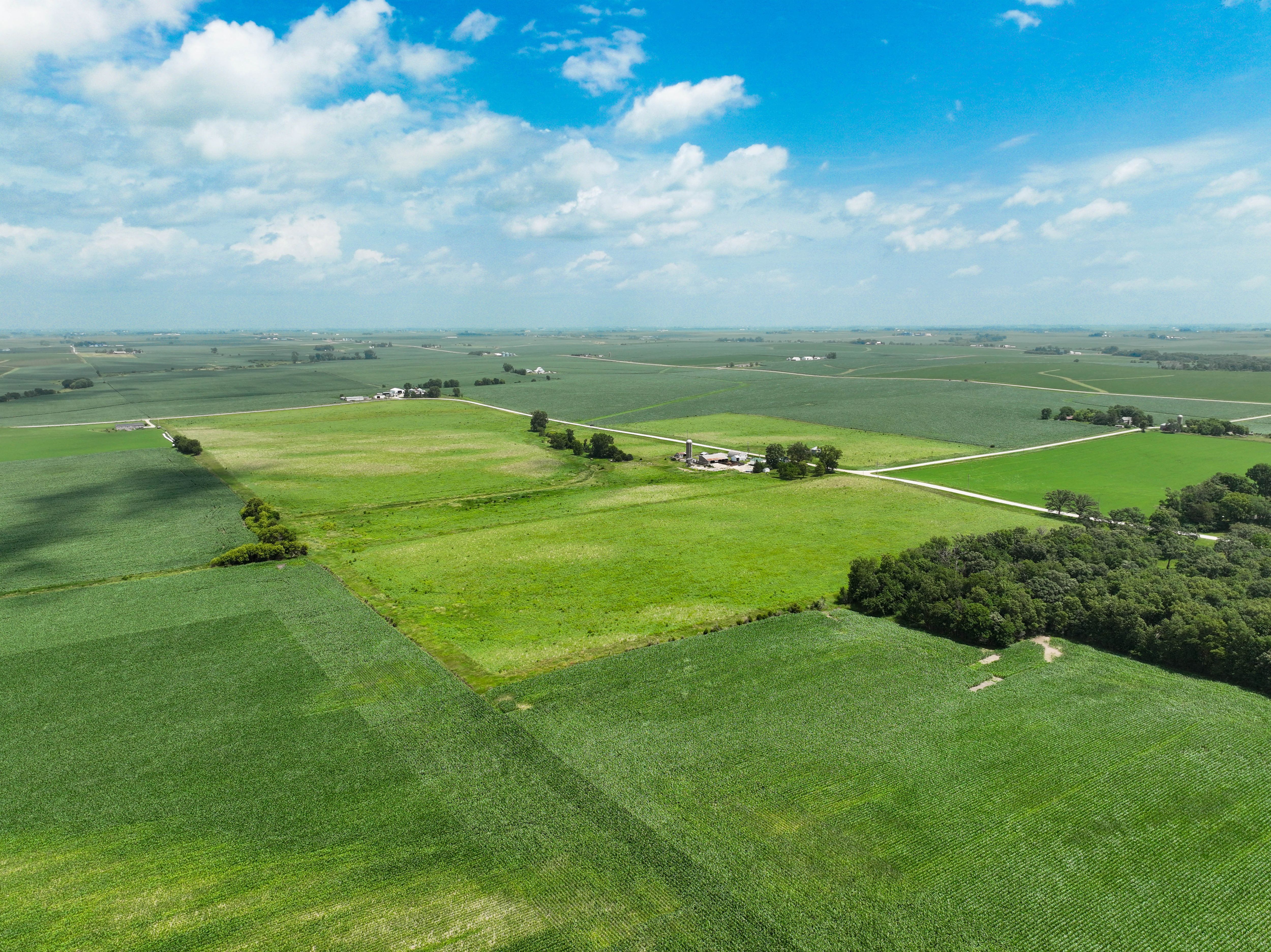 Listing Photo: 4_Buchanan County Land Available